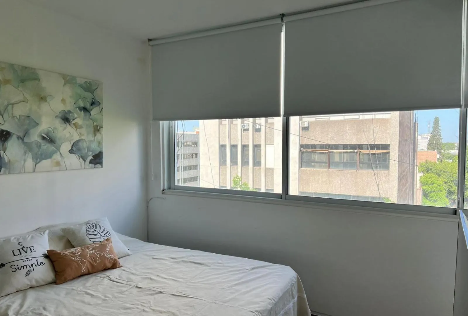 Apartamento Casa Malbec San Martin Y Peatonal Mendoza Argentina